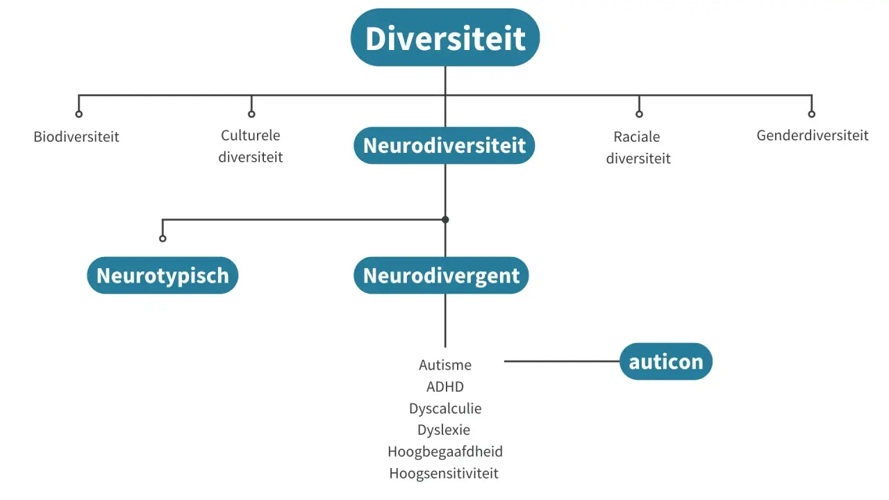 Diagram toont diversiteit, met neurodiversiteit als subcategorie. Neurodivergent omvat autisme, ADHD, dyslexie, etc.