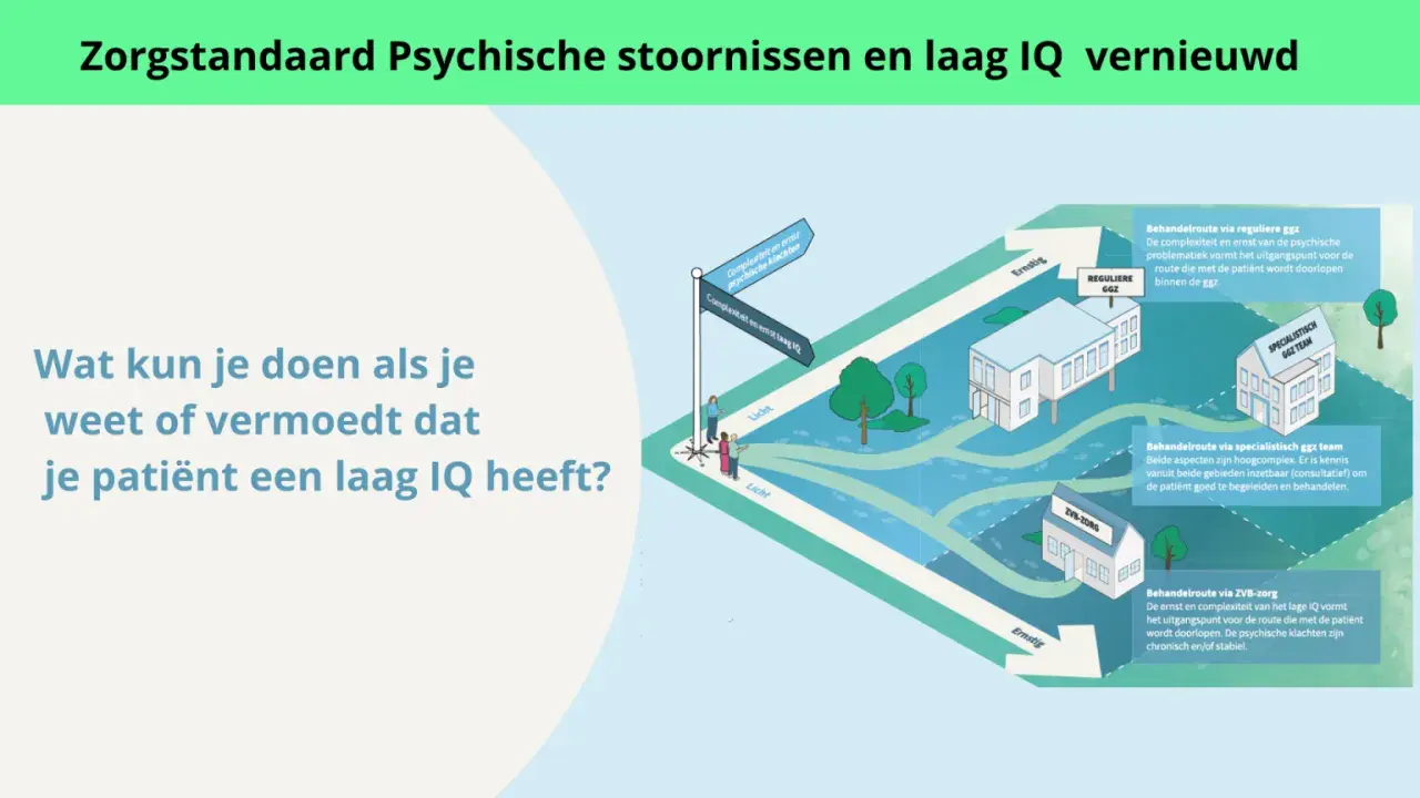 Illustratie van zorgpaden voor patiënten met psychische klachten en een laag IQ. Een kruispunt toont de keuze tussen reguliere GGZ, specialistisch GGZ team of ZVB-zorg.
