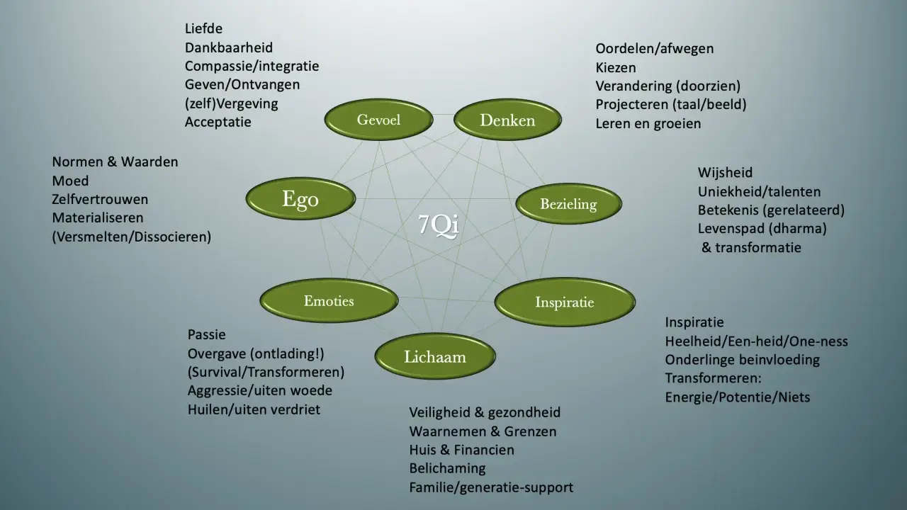 Diagram met 7Qi centra: Ego, Gevoel, Denken, Bezieling, Inspiratie, Lichaam, Emoties. Wat is kwaliteit? Het omvat liefde, wijsheid, passie, en meer.