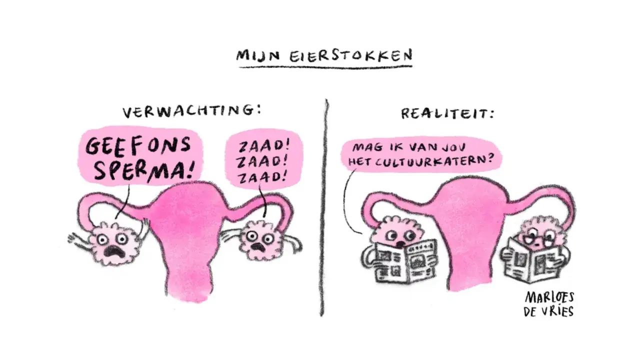 Links: eierstokken schreeuwen om sperma. Rechts: eierstokken lezen cultuurkatern, een beeld van bewust kinderloos.