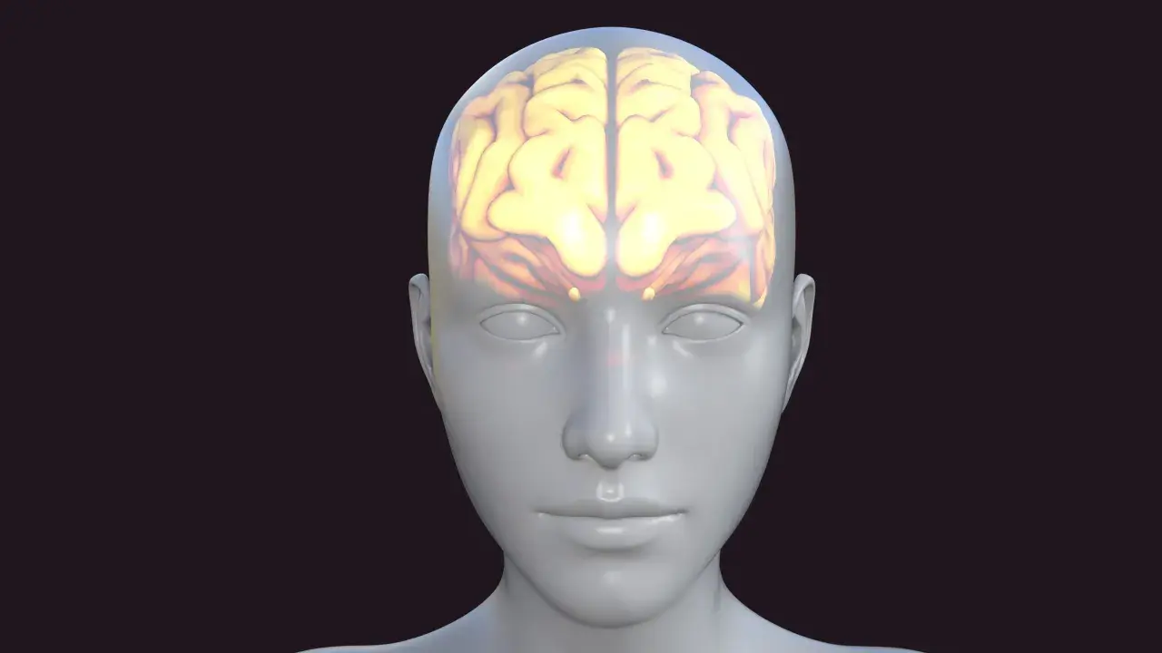 Glowende hersenen in een doorzichtige hoofd, symbolisch voor cognitieve belasting.