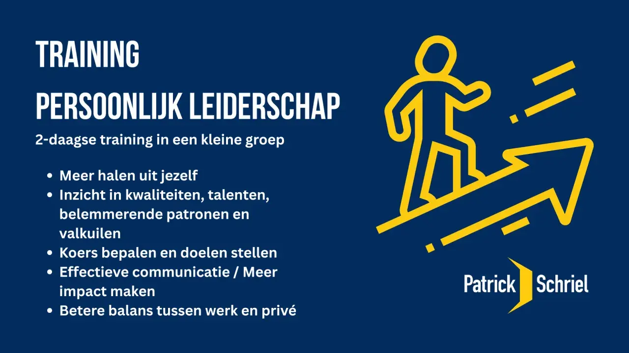 Training Persoonlijk Leiderschap: 2-daagse training voor meer impact. Ontdek je potentieel, stel doelen en verbeter je balans.