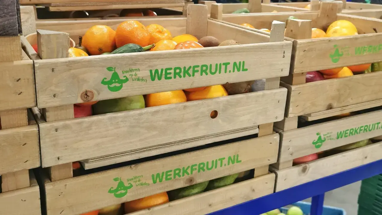 Houten kratten met fruit, waaronder sinaasappels en kiwi's, met de tekst "WERKFRUIT.NL" en een logo dat staat voor duurzame inzetbaarheid.