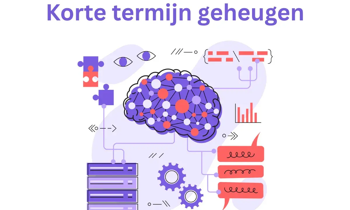 Illustratie van een brein met verbindingen, die het verschil tussen werkgeheugen en korte termijn geheugen uitlegt.