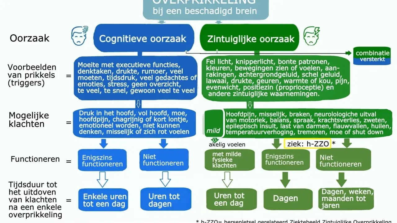 Overprikkeling bij hersenletsel: cognitieve oorzaken zoals te veel taken of emoties leiden tot klachten, terwijl zintuiglijke prikkels zoals fel licht ook overbelasting veroorzaken.