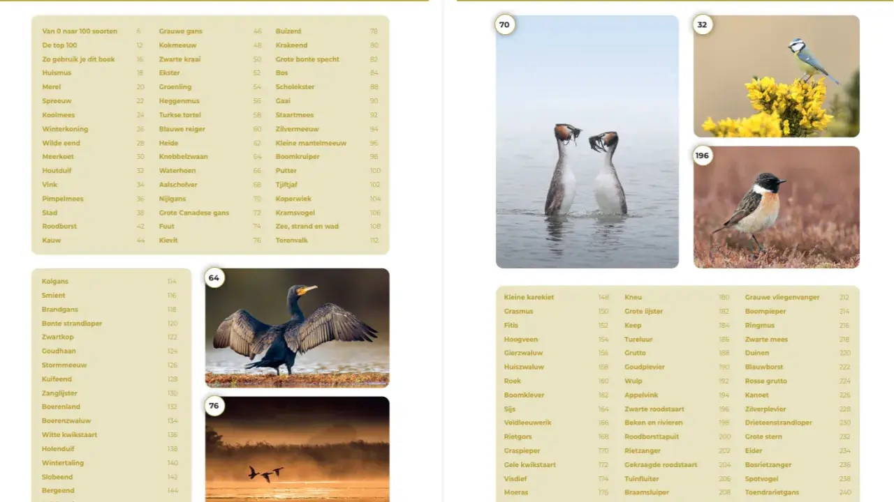 Welkom in groep 5! Een overzicht van vogels, van de grauwe gans tot de fazant.