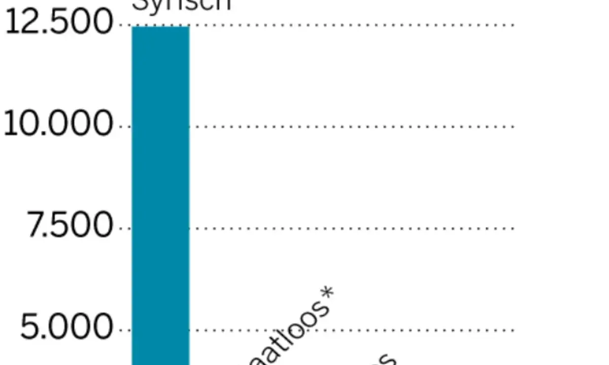 Een staafdiagram toont het aantal Syrische mensen, met een waarde boven 12.500.
