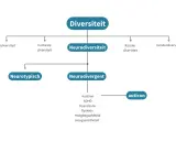 Diagram toont diversiteit, met neurodiversiteit als subcategorie. Neurodivergent omvat autisme, ADHD, dyslexie, etc.