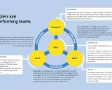 De 7 pijlers van high performing teams, met focus op leiderschap, teamklimaat en de zelfbewuste leider die richting geeft.