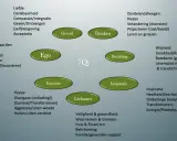 Diagram met 7Qi centra: Ego, Gevoel, Denken, Bezieling, Inspiratie, Lichaam, Emoties. Wat is kwaliteit? Het omvat liefde, wijsheid, passie, en meer.