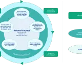 Diagram over netwerkimpact, met elementen als samenwerken, context, fenomenen en principes. Het bevorderen van netwerkimpact staat centraal.