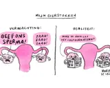 Links: eierstokken schreeuwen om sperma. Rechts: eierstokken lezen cultuurkatern, een beeld van bewust kinderloos.