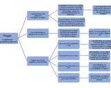 Schema's en adaptatie in Piaget's cognitieve ontwikkelingsfasen: assimilatie, accommodatie en de sensomotorische, preoperationele, concreet operationele en formeel operationele fase.