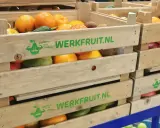 Houten kratten met fruit, waaronder sinaasappels en kiwi's, met de tekst "WERKFRUIT.NL" en een logo dat staat voor duurzame inzetbaarheid.