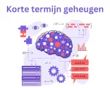 Illustratie van een brein met verbindingen, die het verschil tussen werkgeheugen en korte termijn geheugen uitlegt.