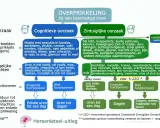 Overprikkeling bij hersenletsel: cognitieve oorzaken zoals te veel taken of emoties leiden tot klachten, terwijl zintuiglijke prikkels zoals fel licht ook overbelasting veroorzaken.