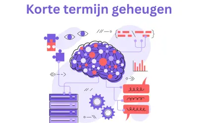 Illustratie van een brein met verbindingen, die het verschil tussen werkgeheugen en korte termijn geheugen uitlegt.