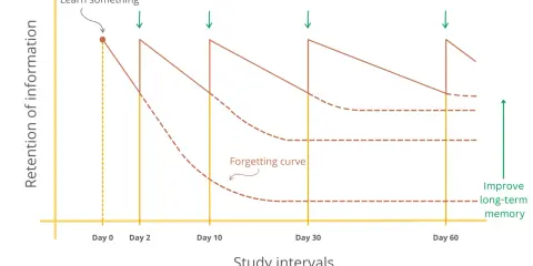 Grafiek toont hoe herhaling de 'forgetting curve' tegengaat en langetermijngeheugen verbetert.