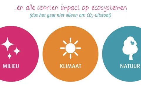 Drie cirkels met iconen: glinsterende sterren (milieu), zon (klimaat) en boom met vlinder (natuur). Ze tonen hoe je impact maakt op ecosystemen.