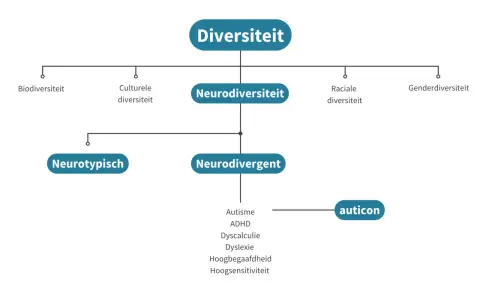 Diagram toont diversiteit, met neurodiversiteit als subcategorie. Neurodivergent omvat autisme, ADHD, dyslexie, etc.