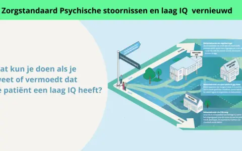Illustratie van zorgpaden voor patiënten met psychische klachten en een laag IQ. Een kruispunt toont de keuze tussen reguliere GGZ, specialistisch GGZ team of ZVB-zorg.