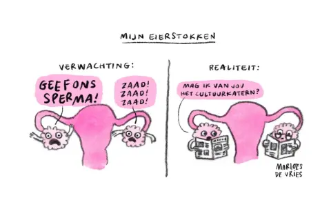 Links: eierstokken schreeuwen om sperma. Rechts: eierstokken lezen cultuurkatern, een beeld van bewust kinderloos.