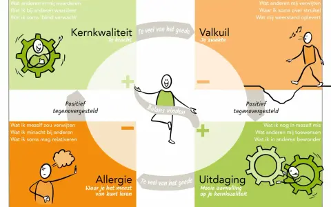 Kernkwadrant van Ofman: Kernkwaliteit, Valkuil, Allergie, Uitdaging. Meten is weten om je balans te vinden.