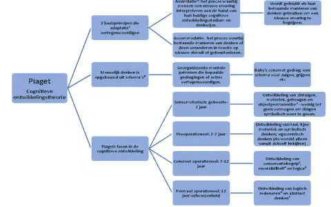 Schema's en adaptatie in Piaget's cognitieve ontwikkelingsfasen: assimilatie, accommodatie en de sensomotorische, preoperationele, concreet operationele en formeel operationele fase.