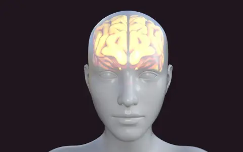 Glowende hersenen in een doorzichtige hoofd, symbolisch voor cognitieve belasting.