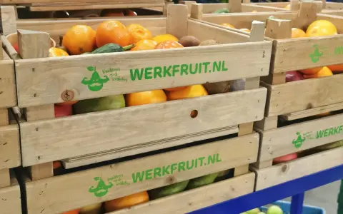 Houten kratten met fruit, waaronder sinaasappels en kiwi's, met de tekst "WERKFRUIT.NL" en een logo dat staat voor duurzame inzetbaarheid.