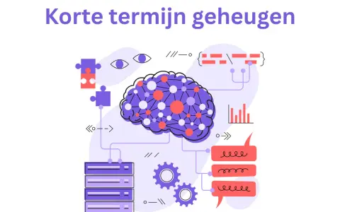 Illustratie van een brein met verbindingen, die het verschil tussen werkgeheugen en korte termijn geheugen uitlegt.