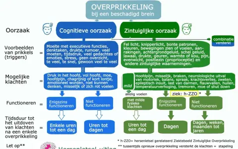 Overprikkeling bij hersenletsel: cognitieve oorzaken zoals te veel taken of emoties leiden tot klachten, terwijl zintuiglijke prikkels zoals fel licht ook overbelasting veroorzaken.