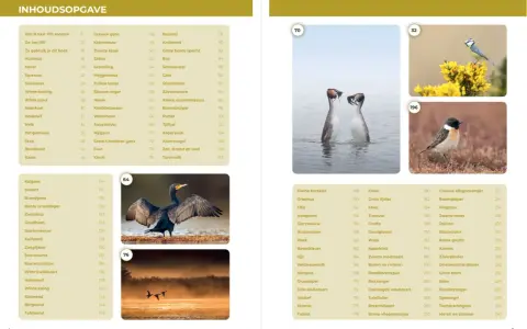 Welkom in groep 5! Een overzicht van vogels, van de grauwe gans tot de fazant.