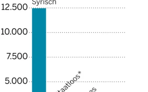 Een staafdiagram toont het aantal Syrische mensen, met een waarde boven 12.500.