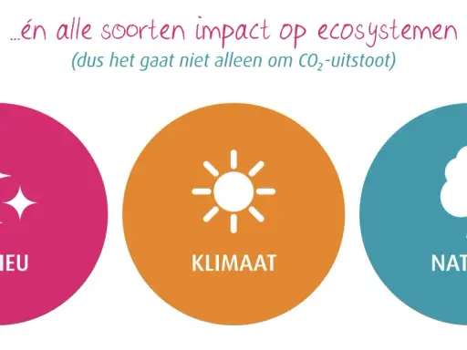 Drie cirkels met iconen: glinsterende sterren (milieu), zon (klimaat) en boom met vlinder (natuur). Ze tonen hoe je impact maakt op ecosystemen.