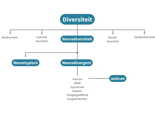 Diagram toont diversiteit, met neurodiversiteit als subcategorie. Neurodivergent omvat autisme, ADHD, dyslexie, etc.