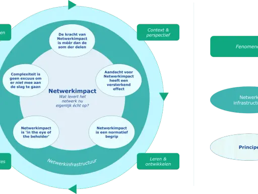 Diagram over netwerkimpact, met elementen als samenwerken, context, fenomenen en principes. Het bevorderen van netwerkimpact staat centraal.