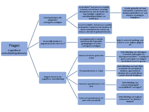 Schema's en adaptatie in Piaget's cognitieve ontwikkelingsfasen: assimilatie, accommodatie en de sensomotorische, preoperationele, concreet operationele en formeel operationele fase.