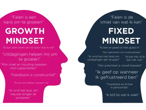 Twee profielen, één met 'Growth Mindset' en positieve quotes, de ander met 'Fixed Mindset' en beperkende overtuigingen.
