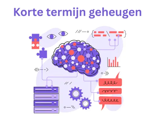 Illustratie van een brein met verbindingen, die het verschil tussen werkgeheugen en korte termijn geheugen uitlegt.