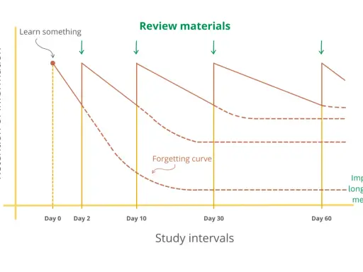 Grafiek toont hoe herhaling de 'forgetting curve' tegengaat en langetermijngeheugen verbetert.