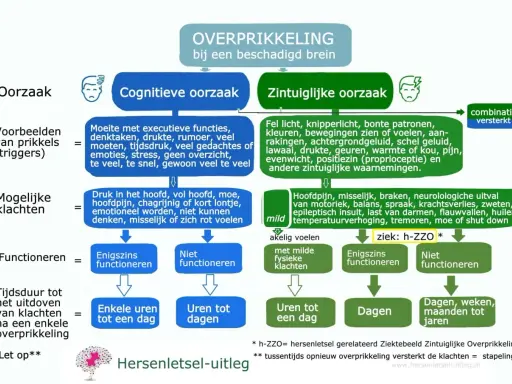 Overprikkeling bij hersenletsel: cognitieve oorzaken zoals te veel taken of emoties leiden tot klachten, terwijl zintuiglijke prikkels zoals fel licht ook overbelasting veroorzaken.