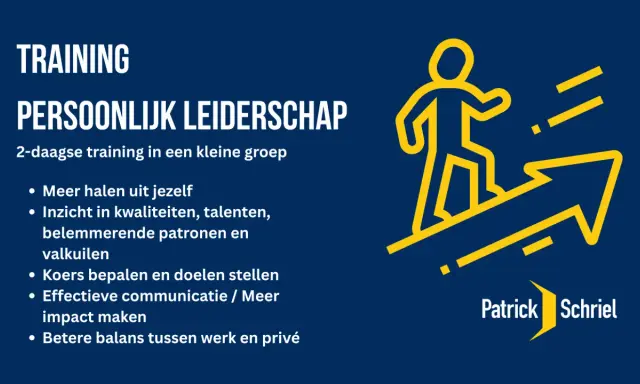 Training Persoonlijk Leiderschap: 2-daagse training voor meer impact. Ontdek je potentieel, stel doelen en verbeter je balans.
