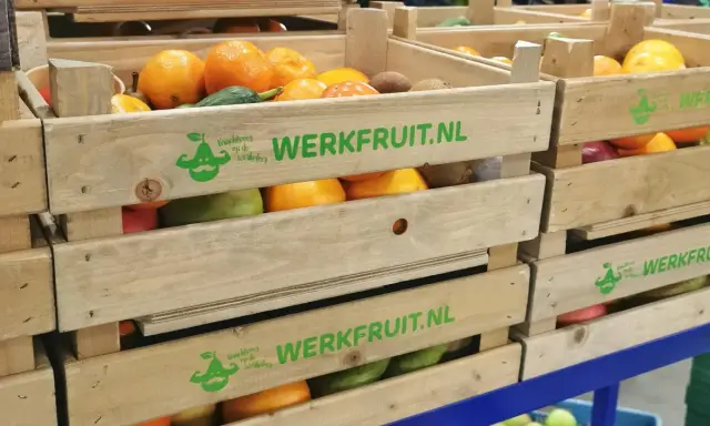 Houten kratten met fruit, waaronder sinaasappels en kiwi's, met de tekst "WERKFRUIT.NL" en een logo dat staat voor duurzame inzetbaarheid.