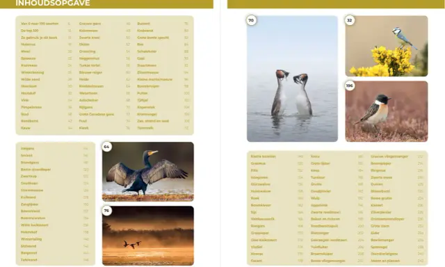 Welkom in groep 5! Een overzicht van vogels, van de grauwe gans tot de fazant.