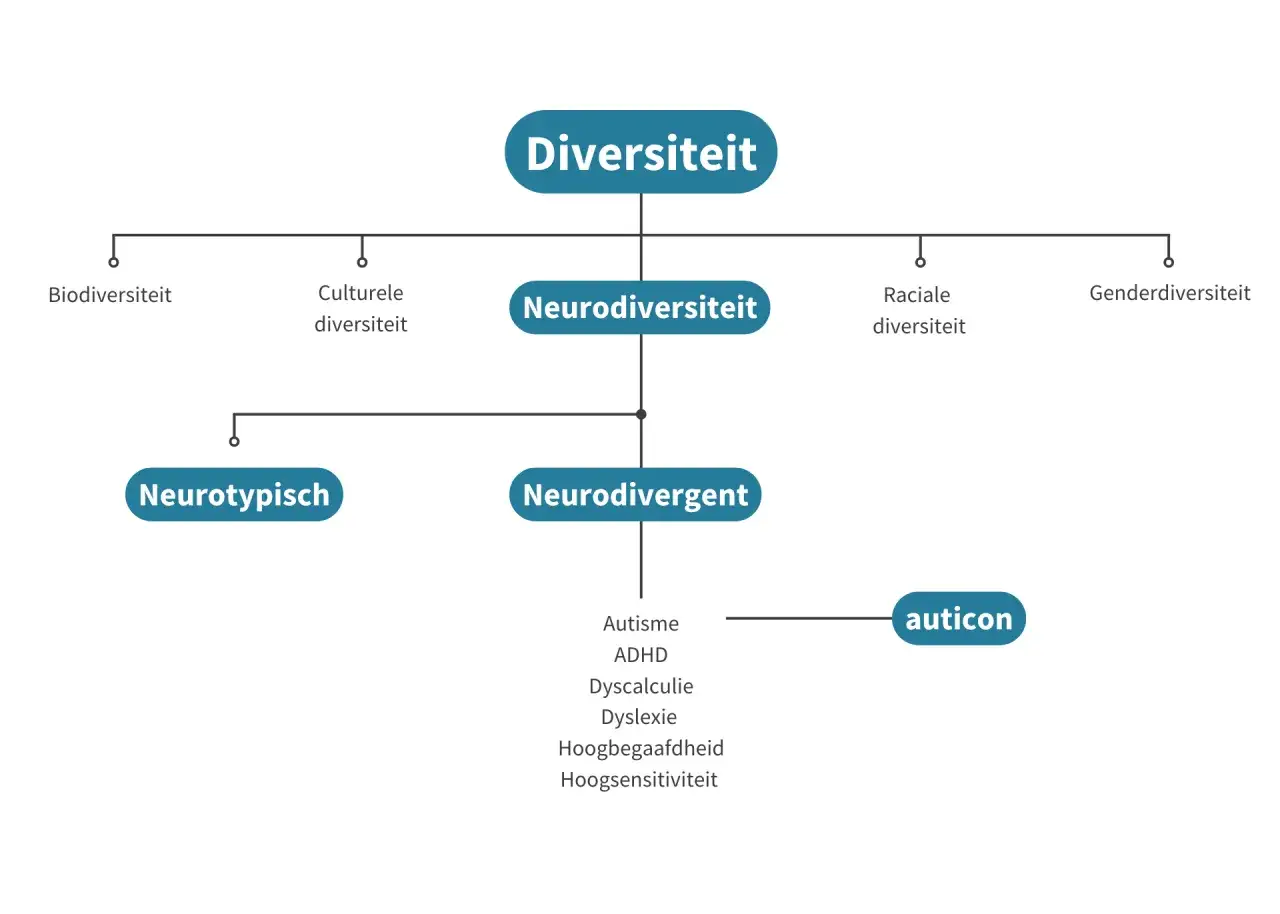 Diagram toont diversiteit, met neurodiversiteit als subcategorie. Neurodivergent omvat autisme, ADHD, dyscalculie, dyslexie, hoogbegaafdheid en hoogsensitiviteit.