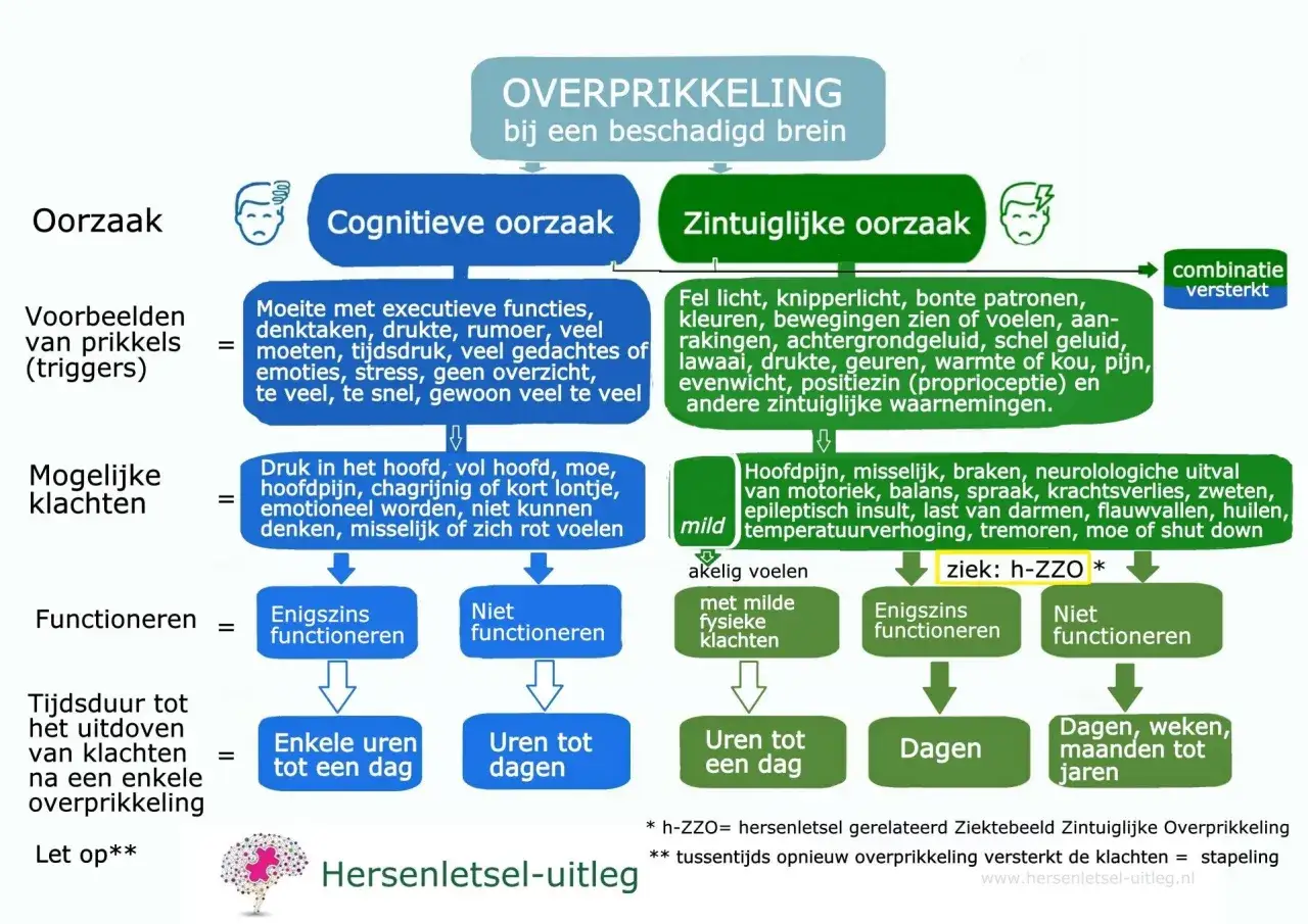 Schema toont oorzaken van overprikkeling bij hersenletsel: cognitieve (denktaken, stress) en zintuiglijke (licht, geluid). Dit kan leiden tot klachten en functioneringsproblemen, met duur vari&euml;rend van uren tot jaren.