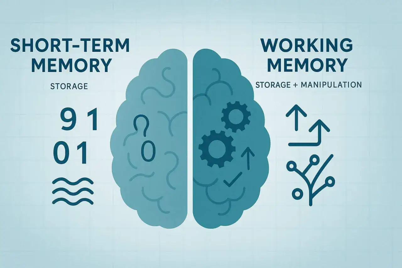 Wat is werkgeheugen? De linker hersenhelft toont 'short-term memory' met cijfers en golven. De rechterhelft toont 'working memory' met tandwielen en pijlen, wat opslag en manipulatie symboliseert.