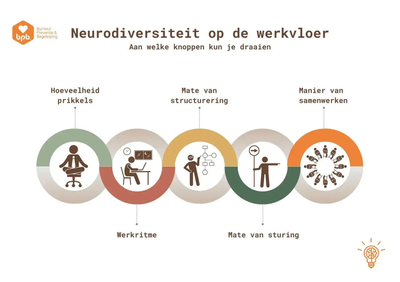 Diagram over neurodiversiteit op de werkvloer, met aanpasbare factoren zoals prikkels, structuur, ritme, sturing en samenwerking.