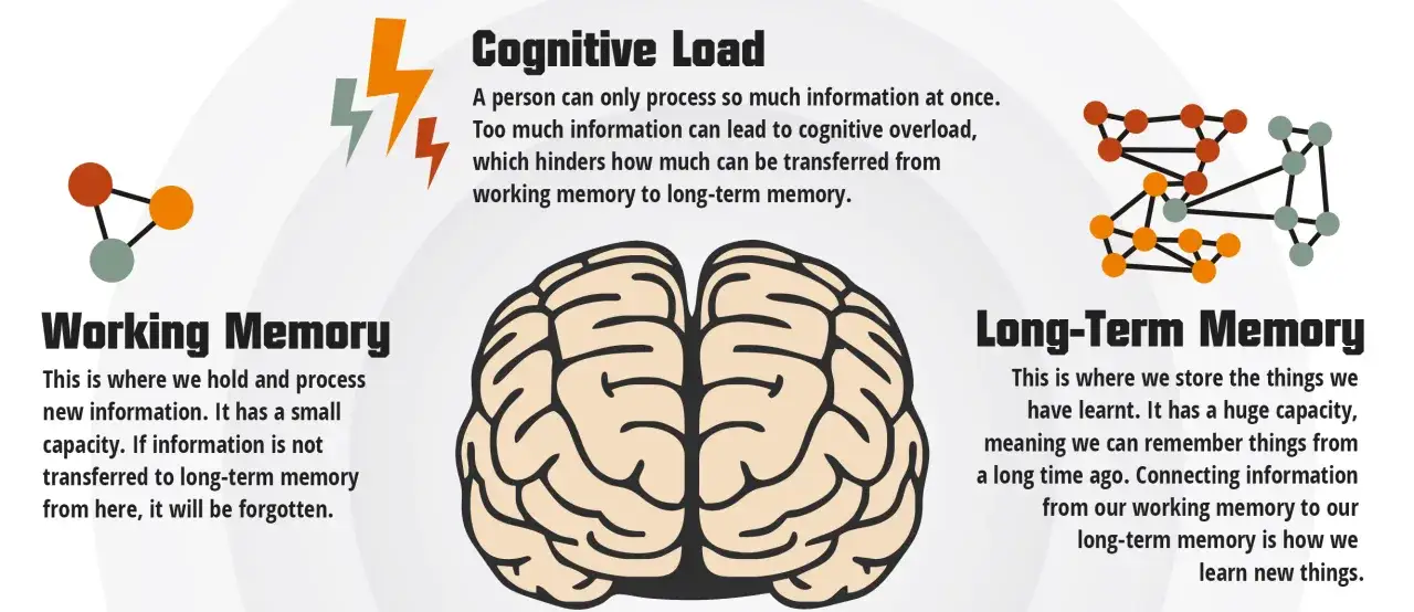 Illustratie van het brein met uitleg over werkgeheugen, langetermijngeheugen en cognitieve belasting. Te veel informatie leidt tot overbelasting.